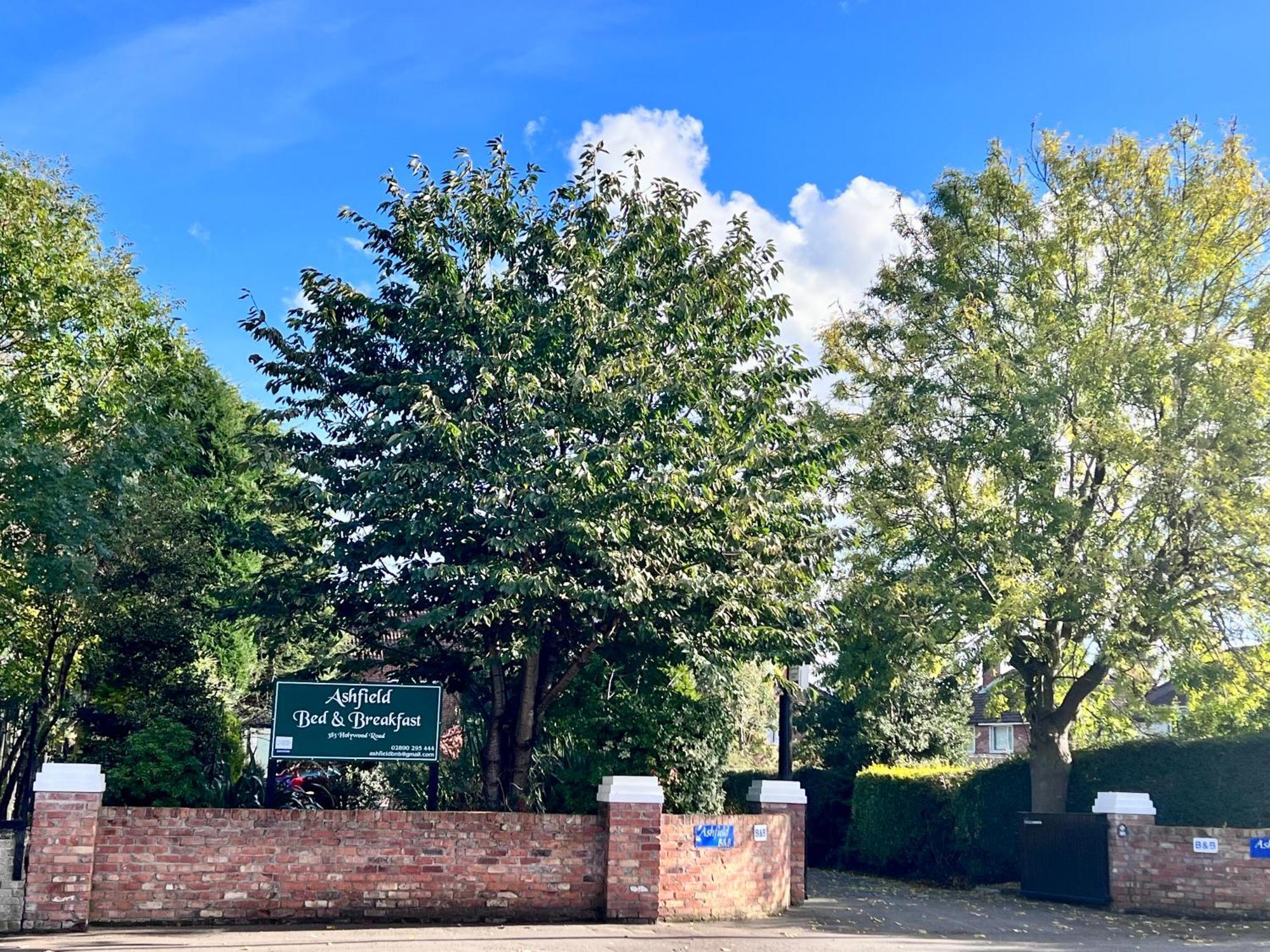 Ashfield Bed & Breakfast Belfast Zewnętrze zdjęcie