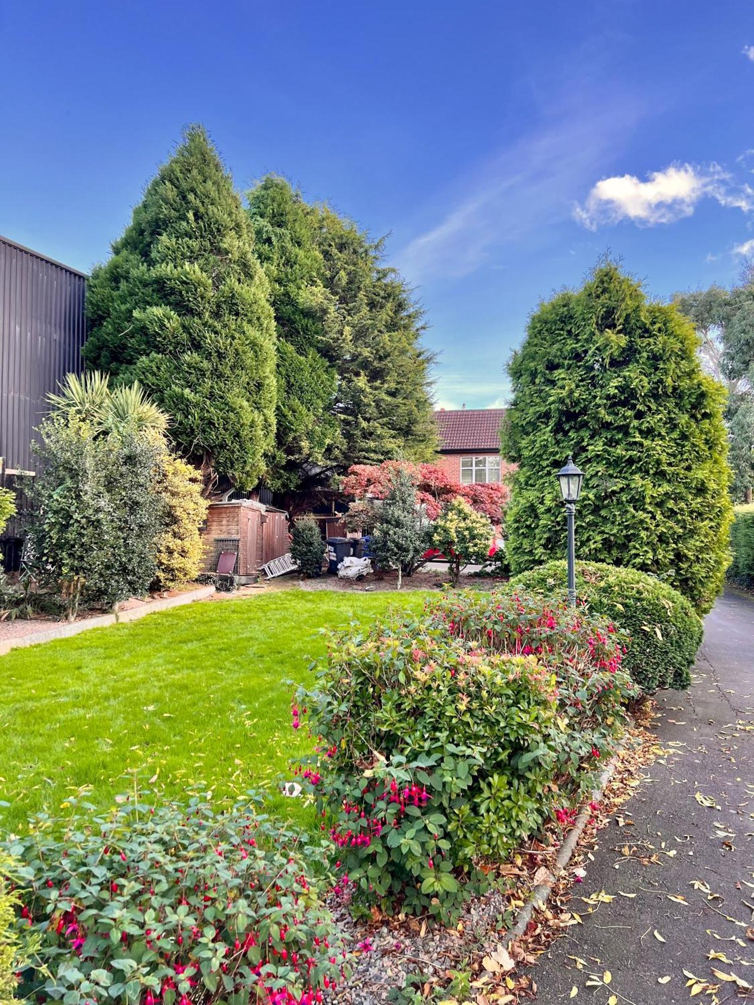 Ashfield Bed & Breakfast Belfast Zewnętrze zdjęcie