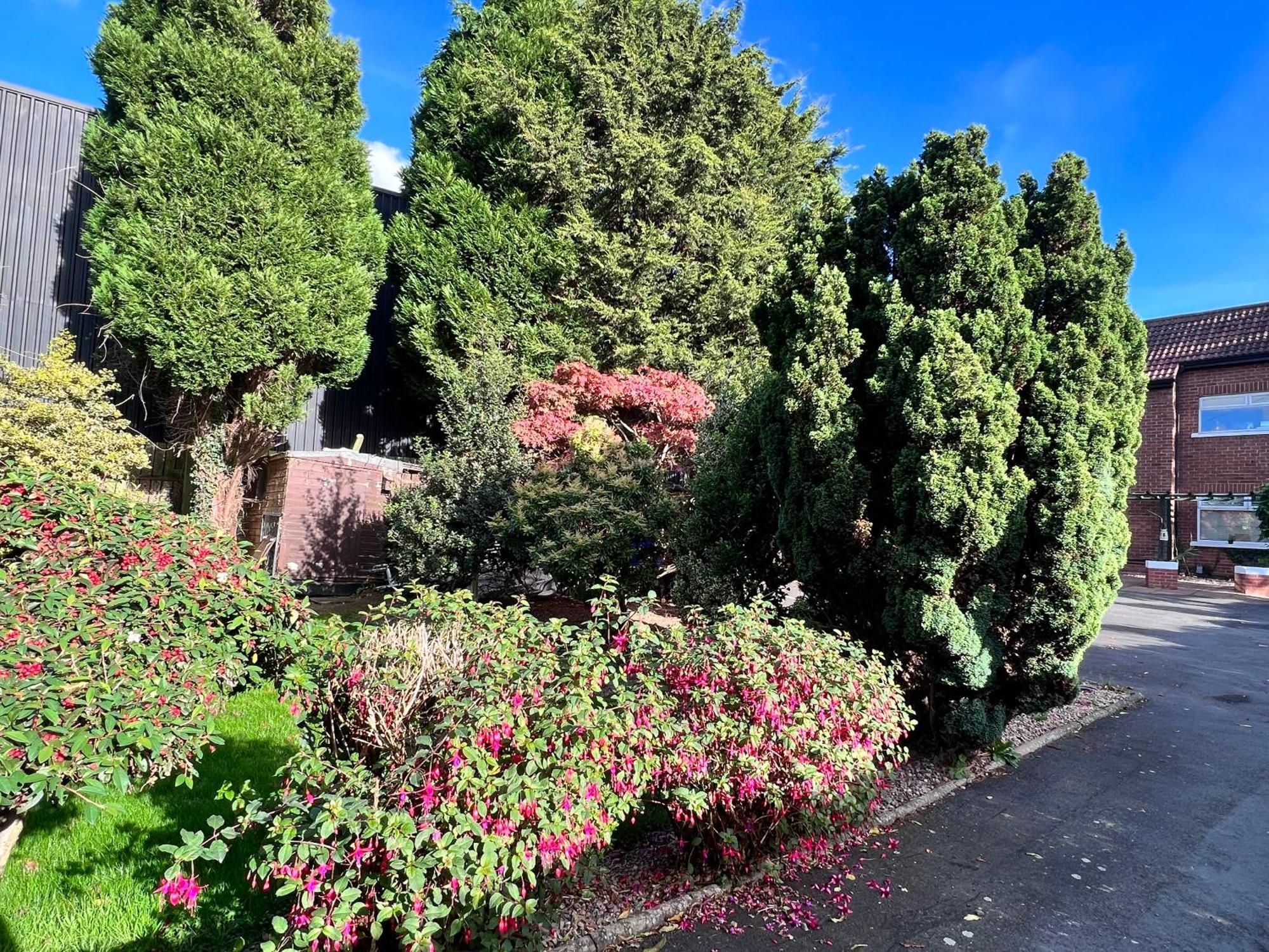 Ashfield Bed & Breakfast Belfast Zewnętrze zdjęcie