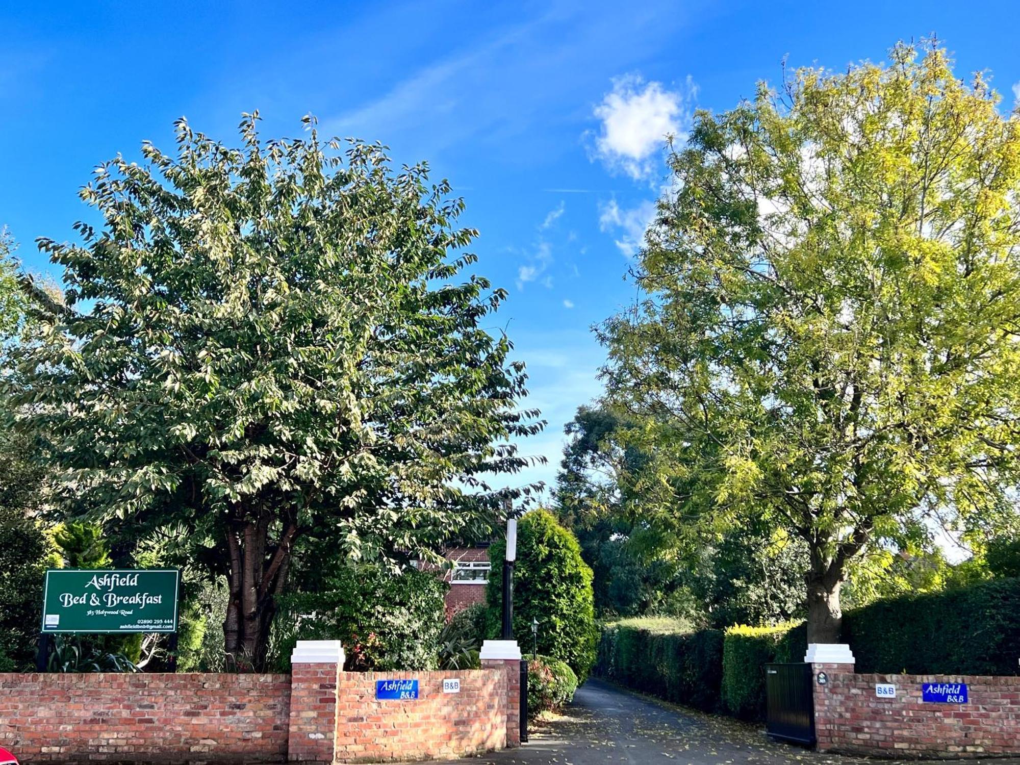 Ashfield Bed & Breakfast Belfast Zewnętrze zdjęcie